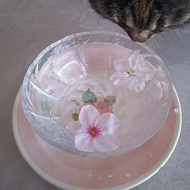 sakuraさんの実例写真