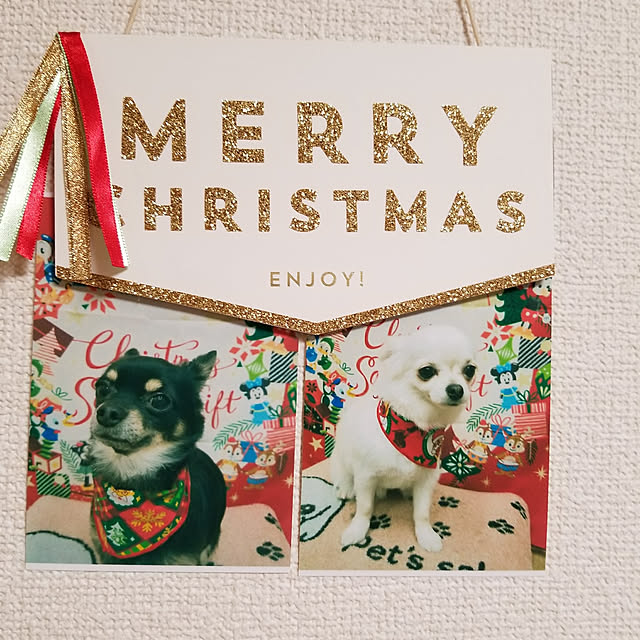 korokoroさんの実例写真