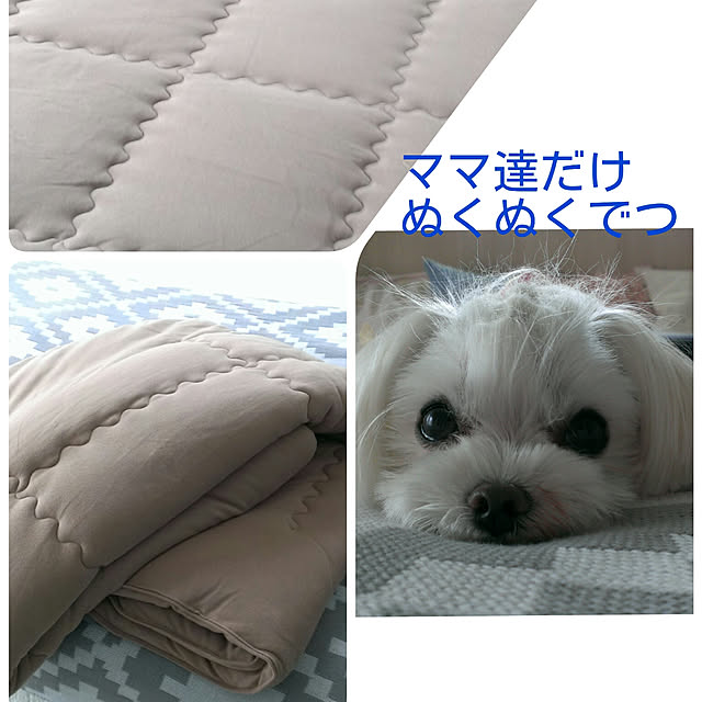 loliontoaliceveさんの実例写真
