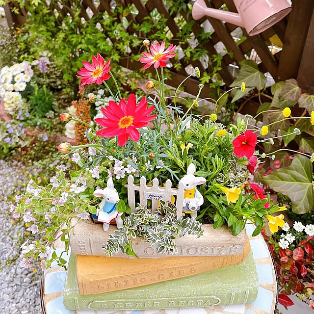 asaさんの実例写真