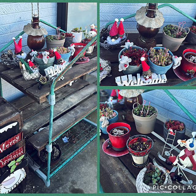 CoCo0617さんの部屋