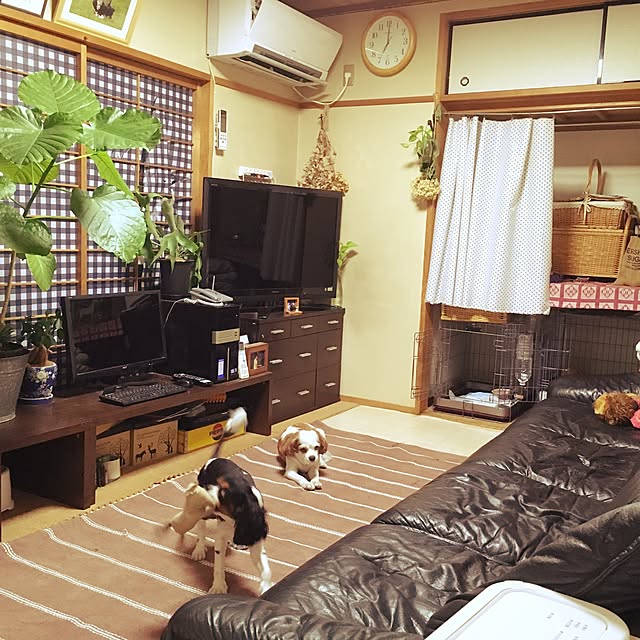 happy0612さんの実例写真