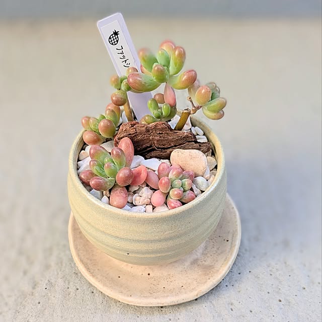 leaf_homeさんの実例写真