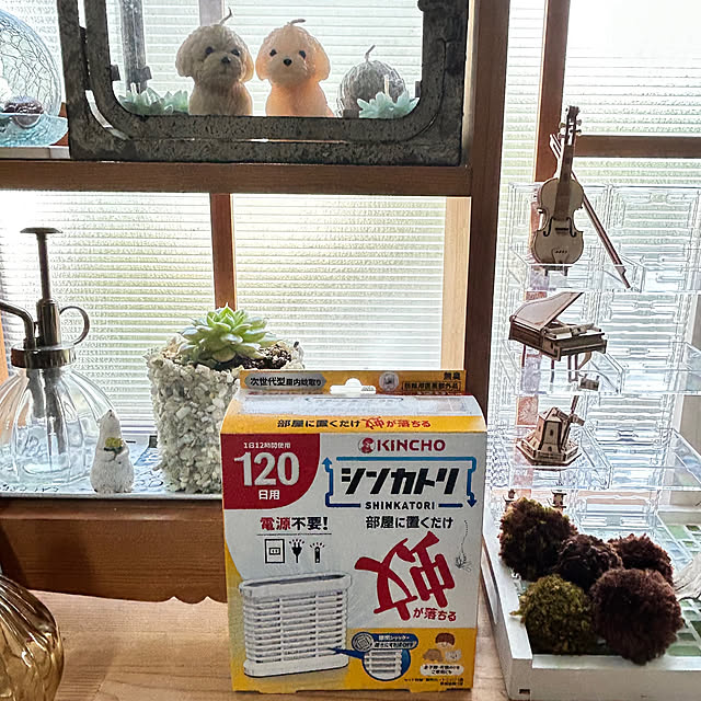 snowさんの実例写真