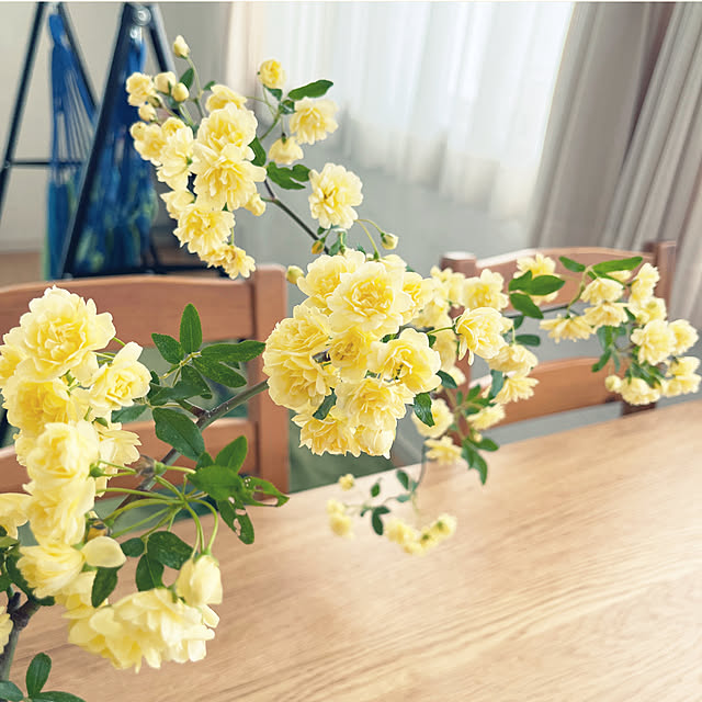 823smileさんの部屋