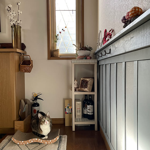 nobikoさんの部屋