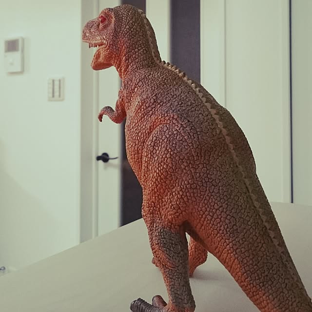 nnnさんの実例写真
