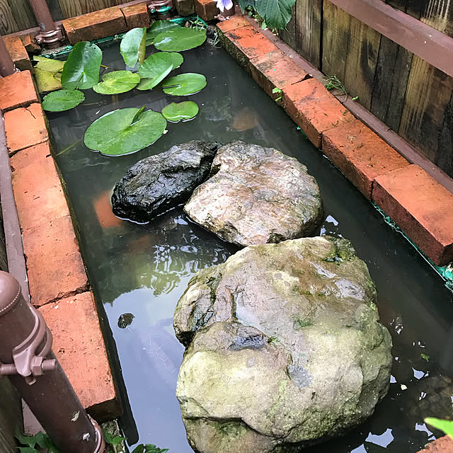 pepeさんの実例写真