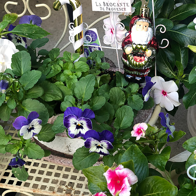cocoさんの部屋