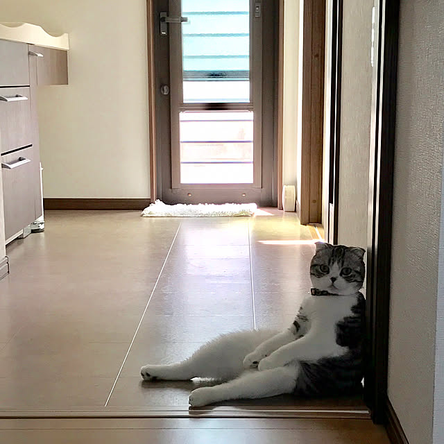 Dahliaさんの実例写真