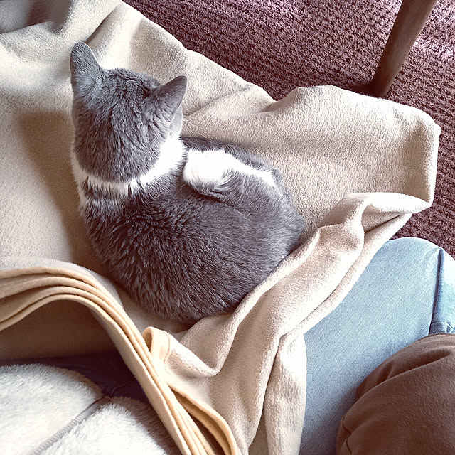 rhuさんの実例写真