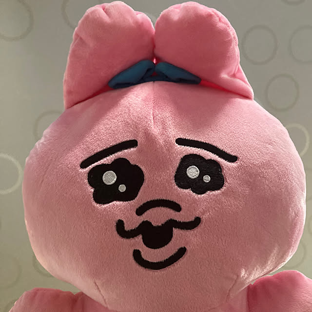 manduonmaさんの実例写真