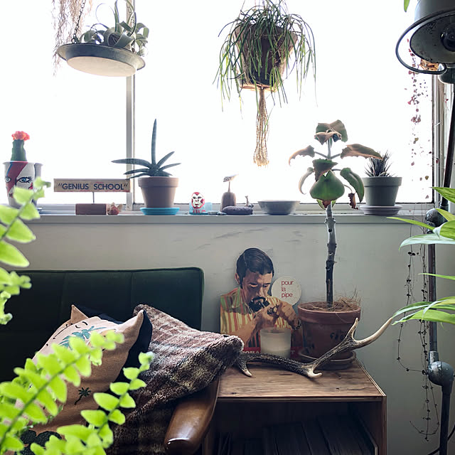 SHINPEIさんの実例写真
