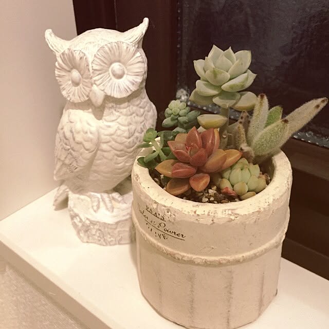 Rieさんの実例写真