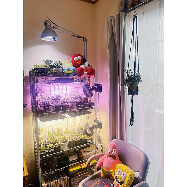 w_end_0625さんの実例写真