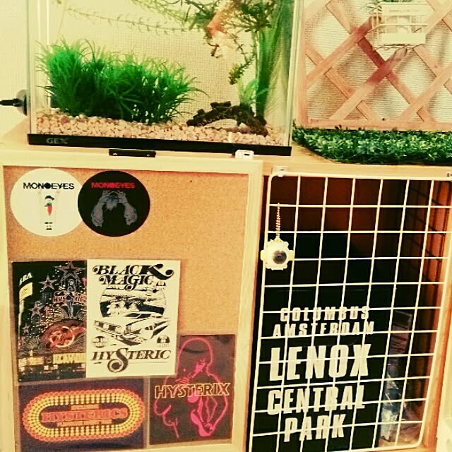 Nobuさんの実例写真
