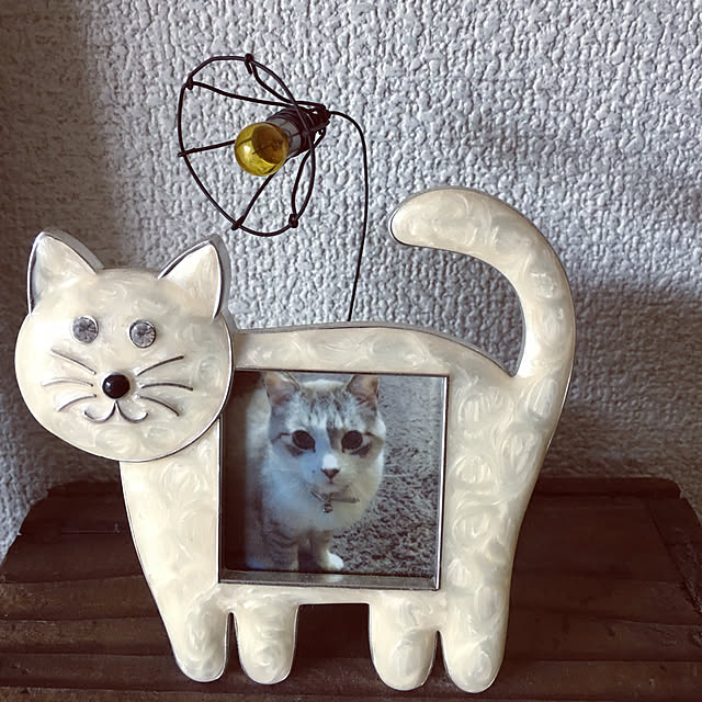 ikukoさんの実例写真