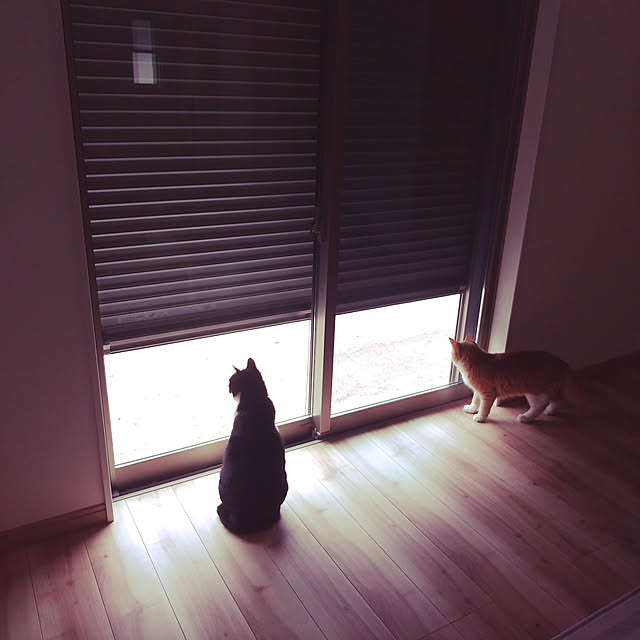 asu3728さんの実例写真