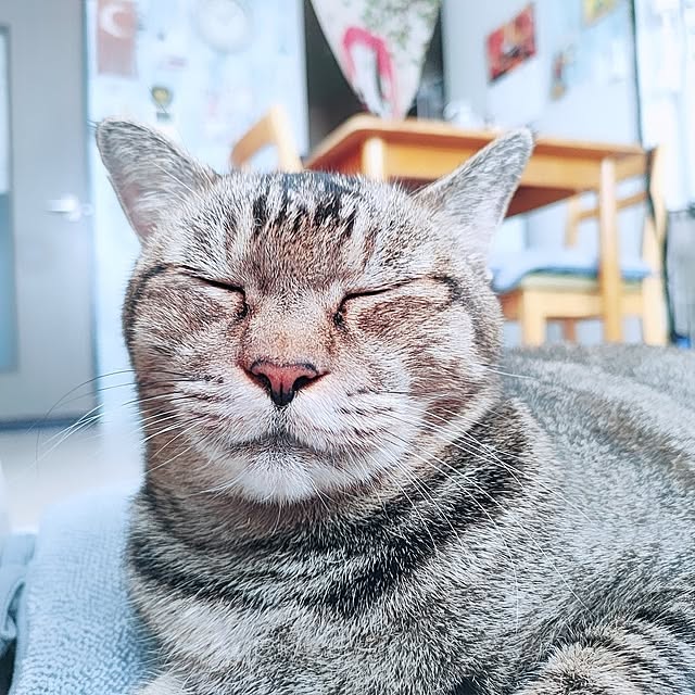 cocomintさんの実例写真