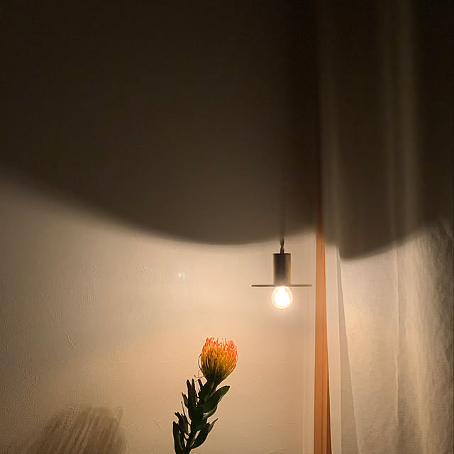 ______tnoieさんの実例写真