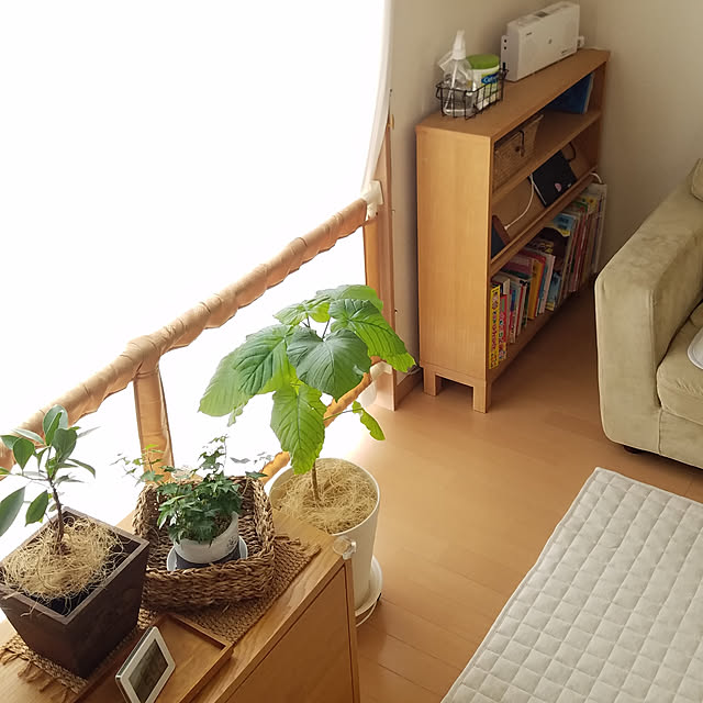 pomさんの実例写真