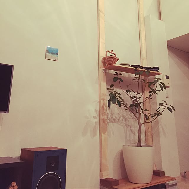 Shinpeiさんの実例写真