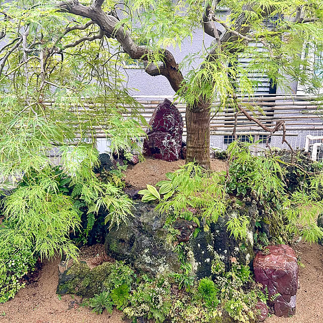 chiroさんの部屋