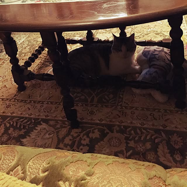 emmyyさんの実例写真