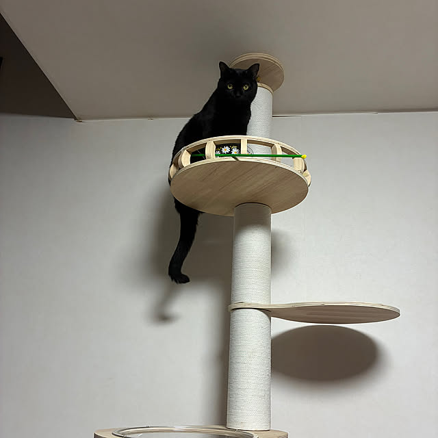 nannanさんの部屋