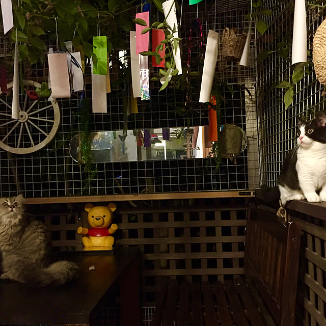 butachanさんの実例写真