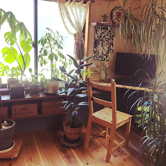 机/観葉植物/ナチュラル/DIY/IKEAのインテリア実例 - 2024-03-09 09:13:54
