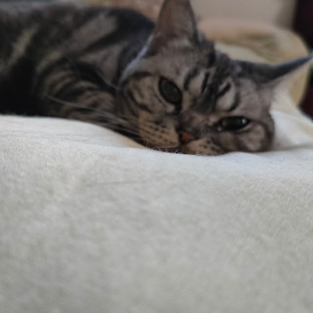 Yoko622さんの実例写真