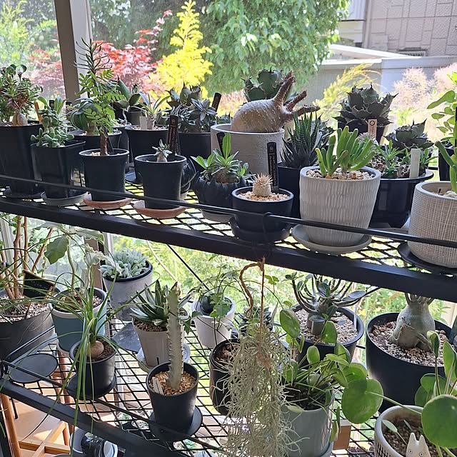 souさんの部屋