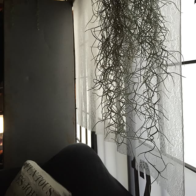 ka_achanさんの実例写真