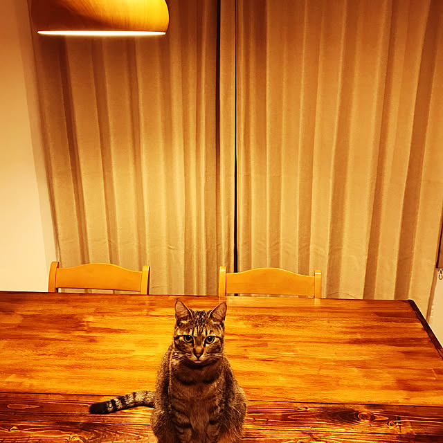 ai__0210さんの実例写真