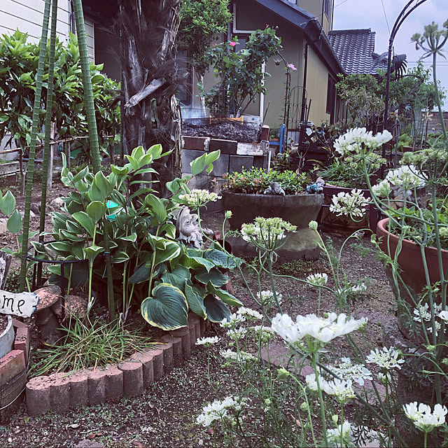 kumako0147さんの実例写真