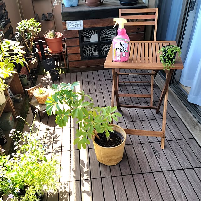 lovepeaceさんの部屋