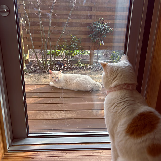 tarvi_meriさんの実例写真