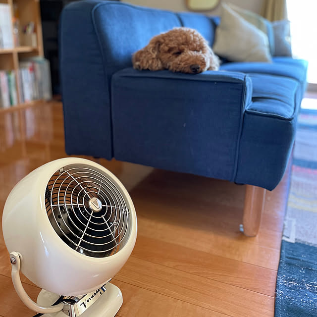 nanachanmamaさんの実例写真