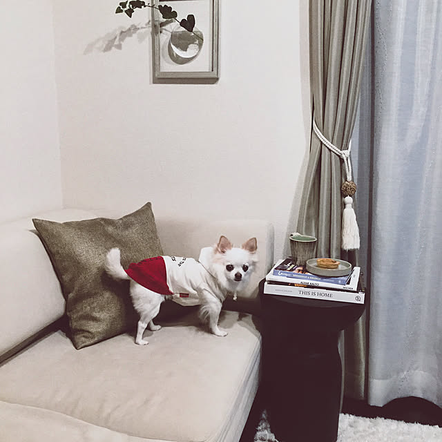 chapiさんの実例写真