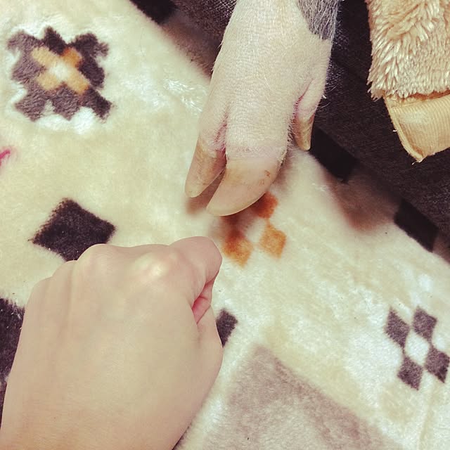 YukAさんの実例写真