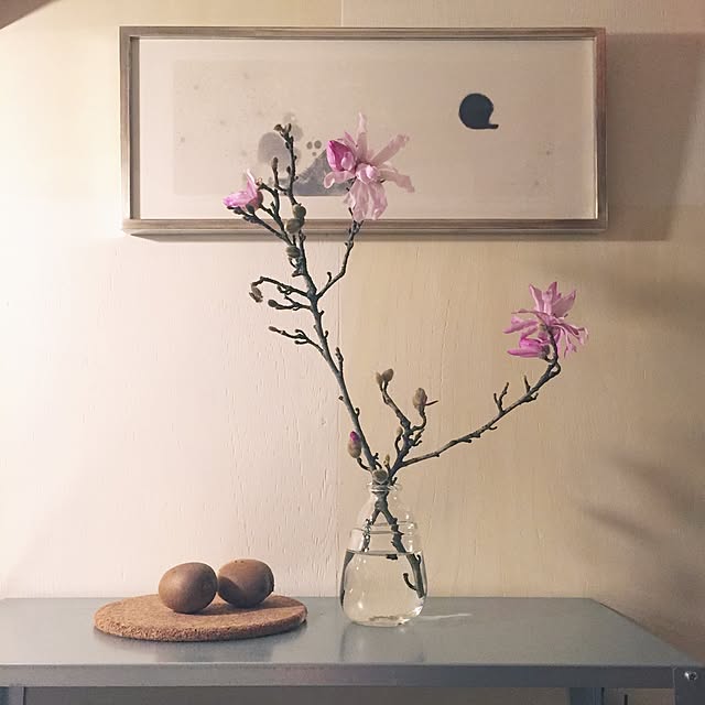 mohayaeteさんの実例写真