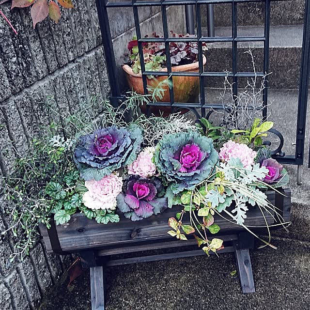 taeko0779さんの実例写真