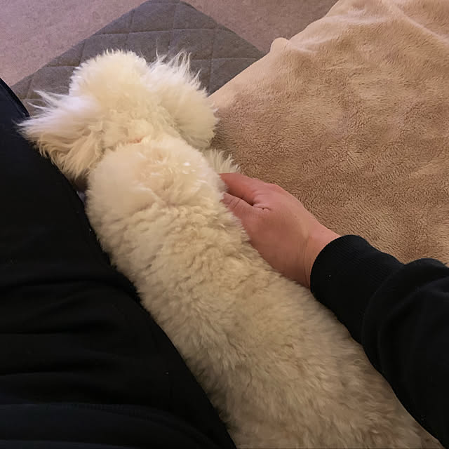 BUNさんの実例写真