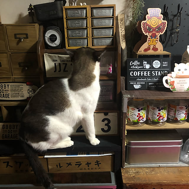 vivienne.coco-keiさんの実例写真
