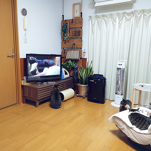 nachiさんの実例写真