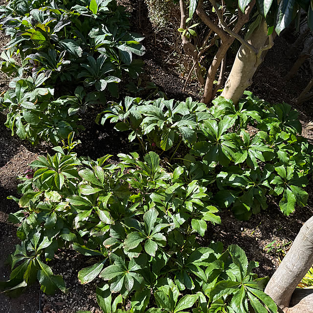 mamizaさんの部屋