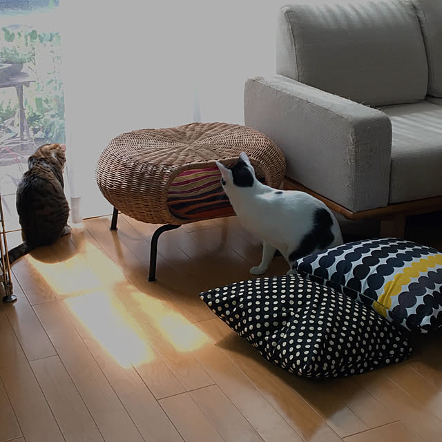 nobikoさんの実例写真