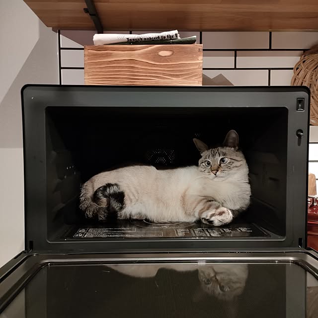 Atelier_tamakiさんの部屋