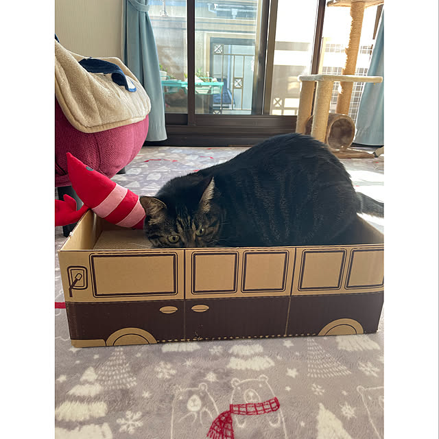 momocchiさんの実例写真